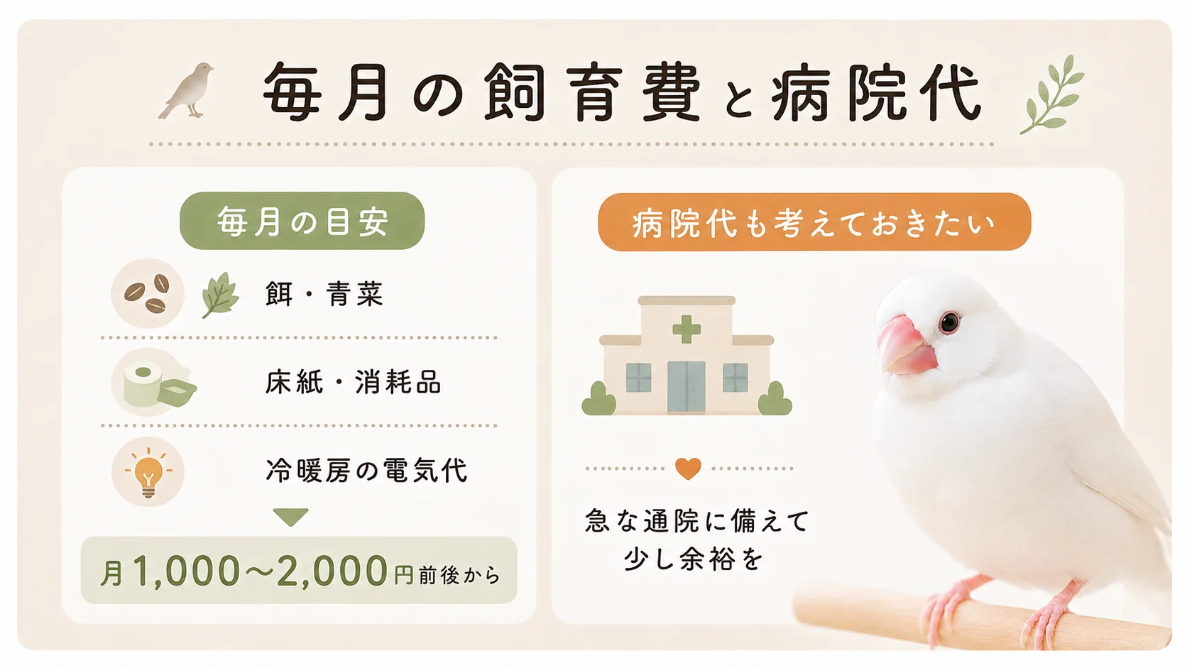 文鳥の毎月の飼育費と急な病院代の備え