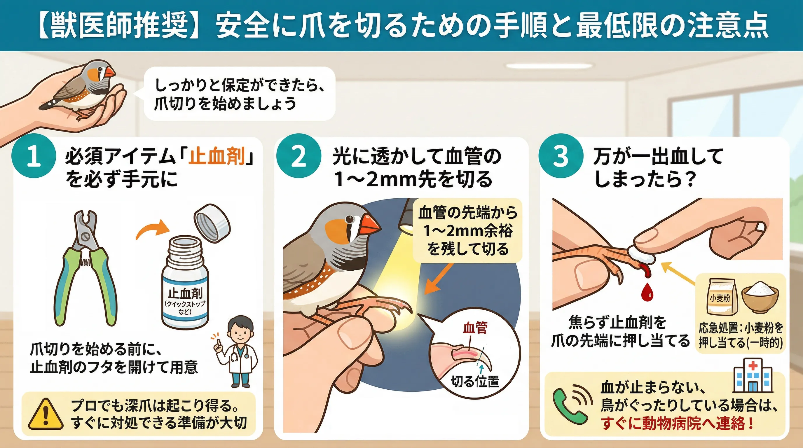 キンカチョウの爪切りをする方法