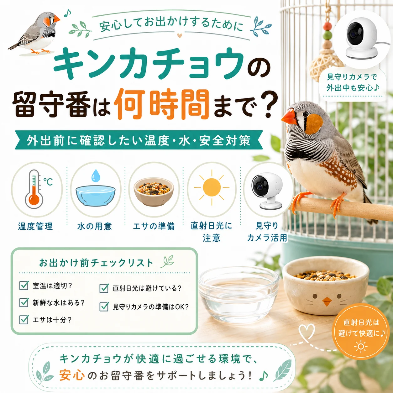 キンカチョウの留守番