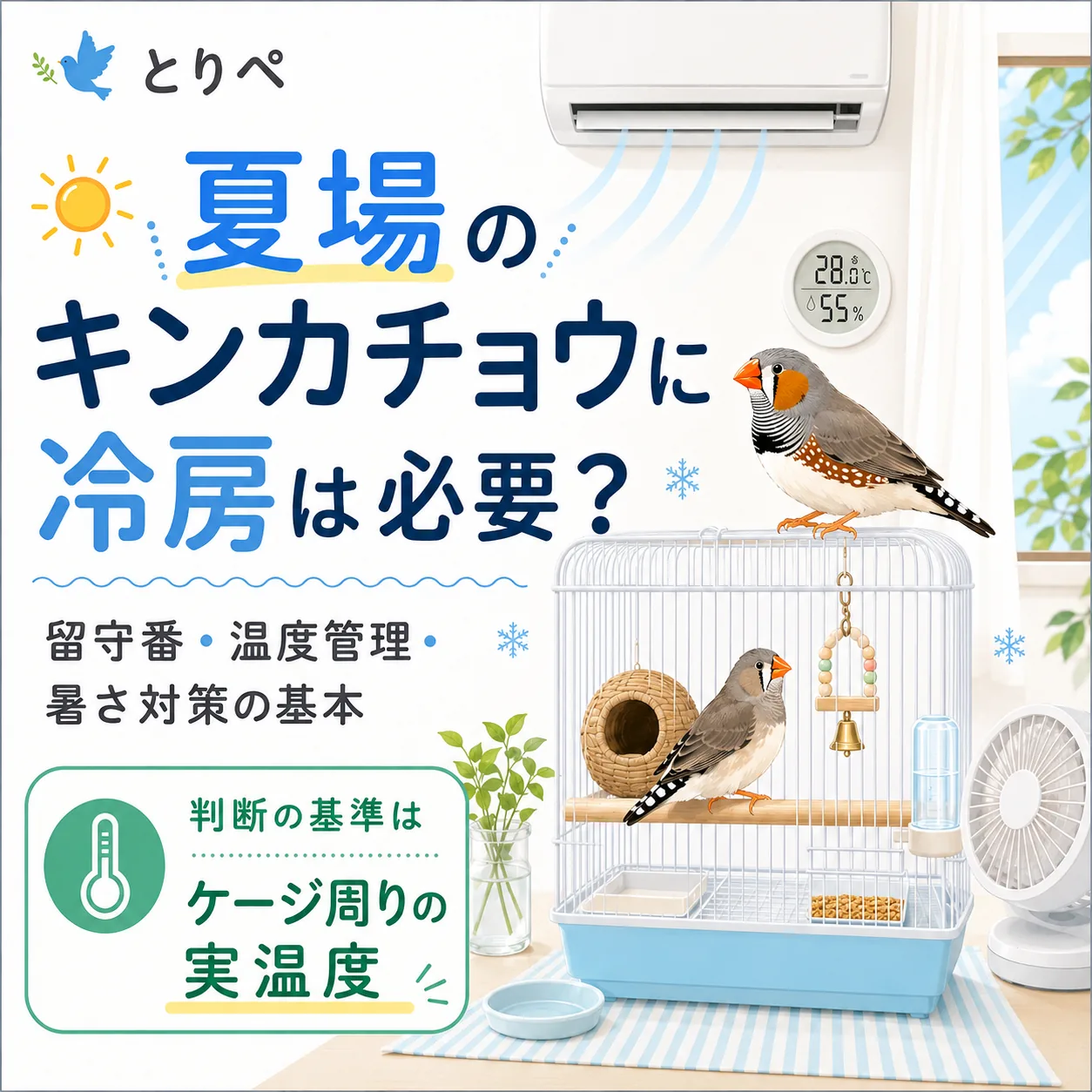 夏場のキンカチョウの暑さ対策