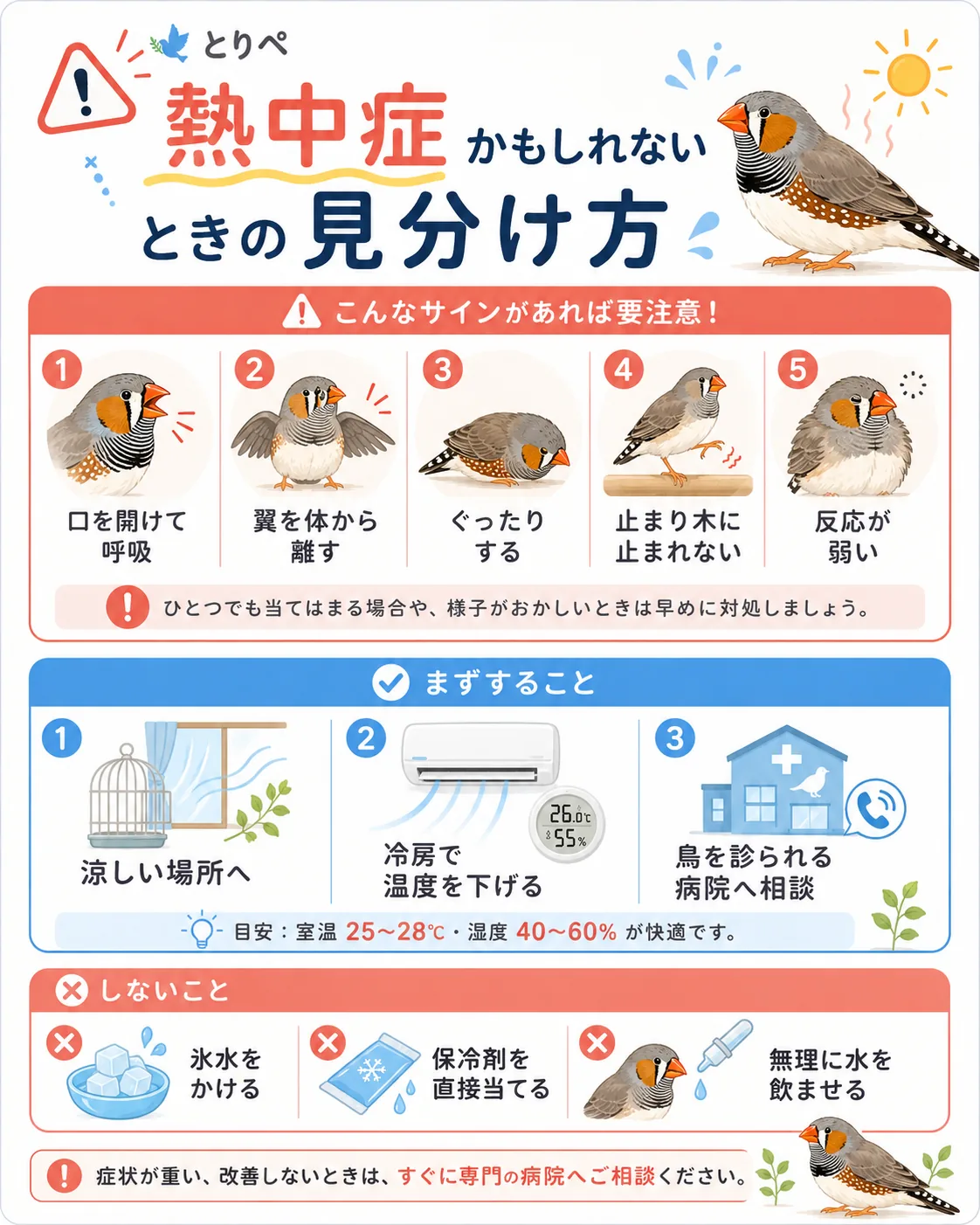 キンカチョウの熱中症が疑われるサインと対処の注意点をまとめた図解