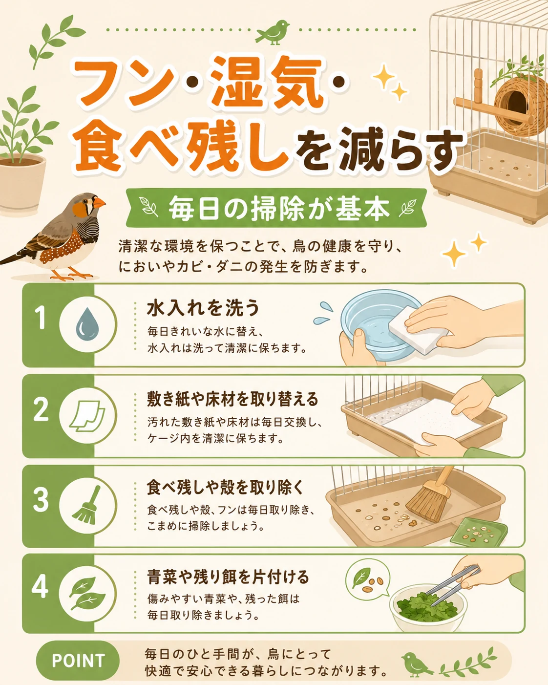 キンカチョウのにおい対策はフン・湿気・食べ残しを減らす毎日の掃除が基本という図解