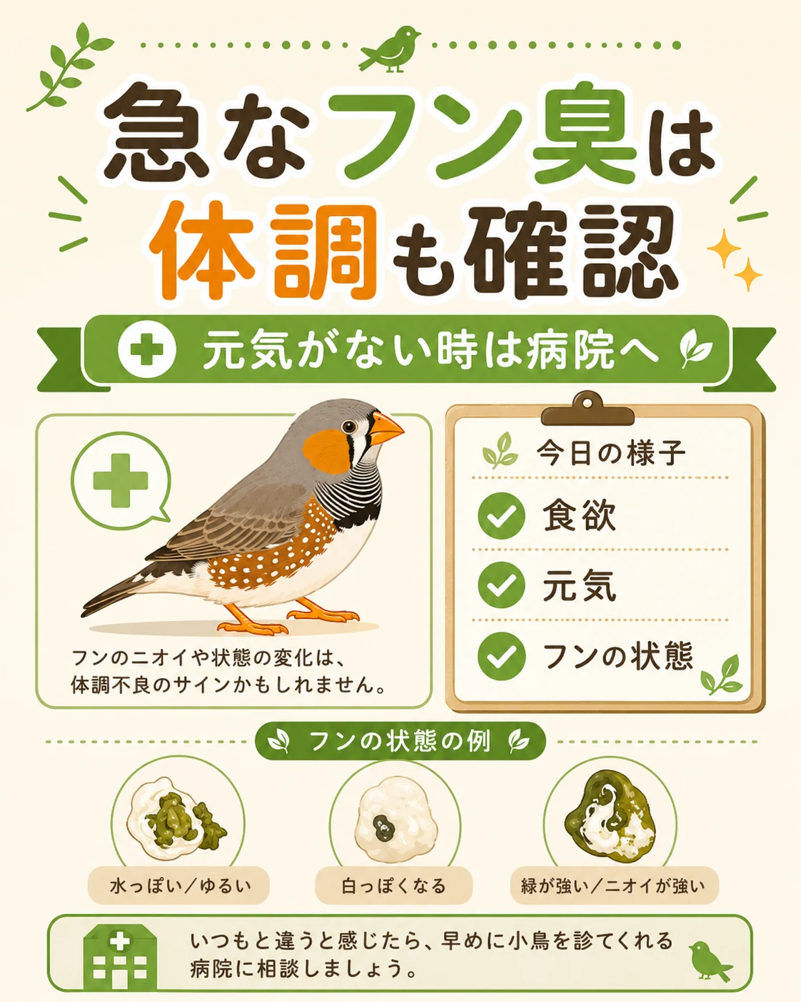 急なフン臭は食欲・元気・フンの状態も確認して病院相談を検討する図解